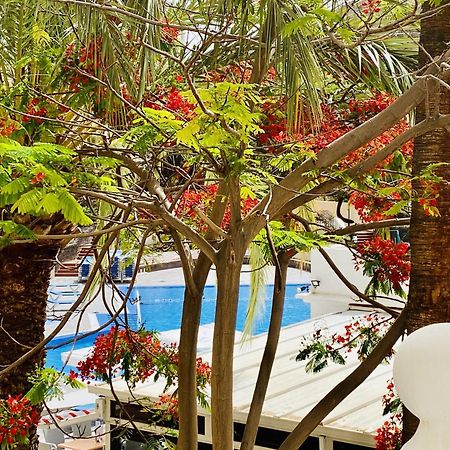 Castle Harbour Melanie'S Apartment By Lovetenerife Los Cristianos  Exteriör bild